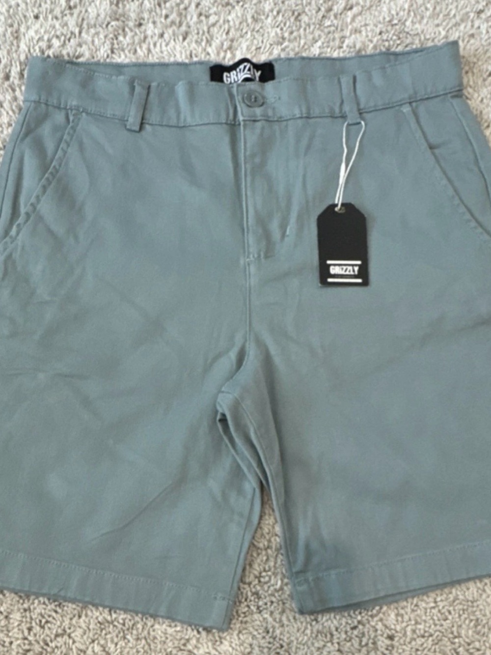 Grizzly Men's Sage Green Chino Shorts